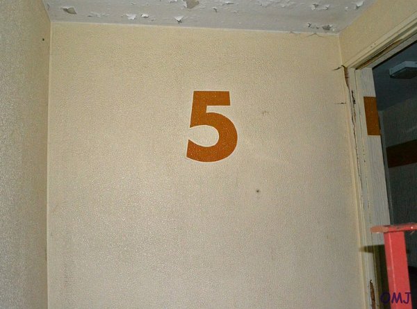 mini-11