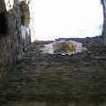 mini-DSCN9564