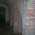 mini-DSCN1009