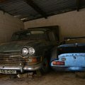 mini-DSC_9381