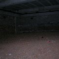 mini-DSCN0850