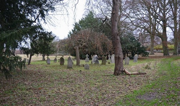 mini-DSC_6227