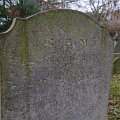 mini-DSC_6191