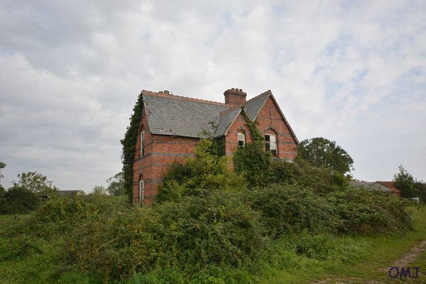 mini-DSC_1908
