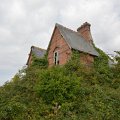 mini-DSC_1911