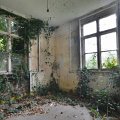 mini-DSC_1935