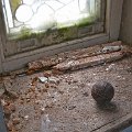 mini-DSC_9849