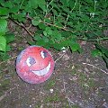 mini-DSCN5888
