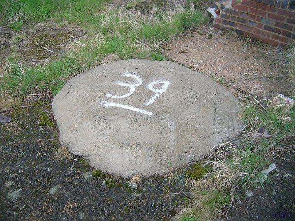t5