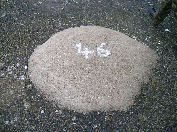 t6