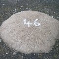 t6