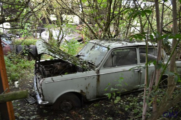 mini-DSC_0800