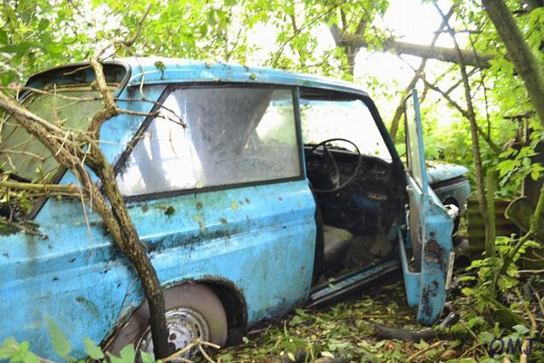 mini-DSC_0818