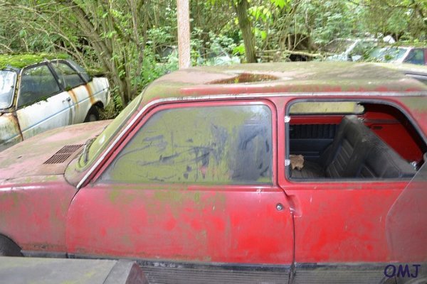 mini-DSC_0830