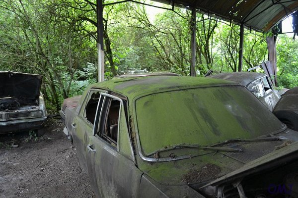 mini-DSC_0850