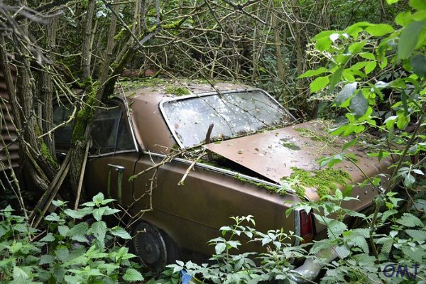 mini-DSC_0853