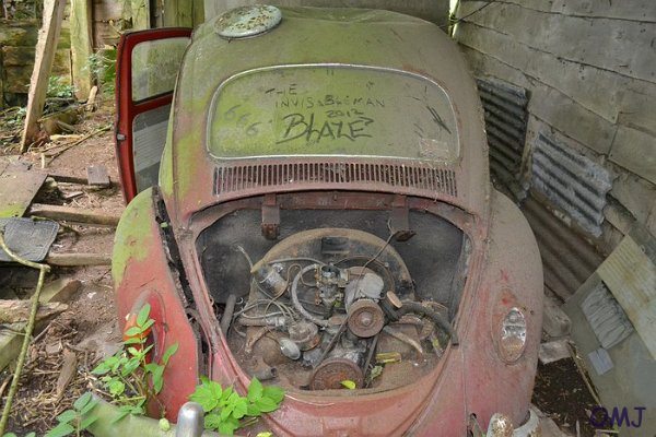 mini-DSC_0861