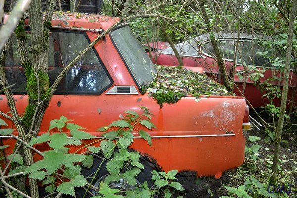 mini-DSC_0862