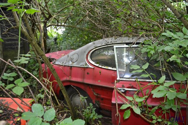 mini-DSC_0863