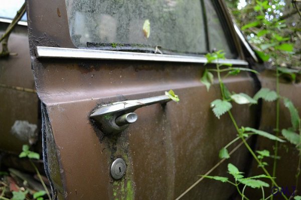 mini-DSC_0864