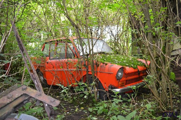 mini-DSC_0873