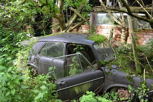 mini-DSC_0897