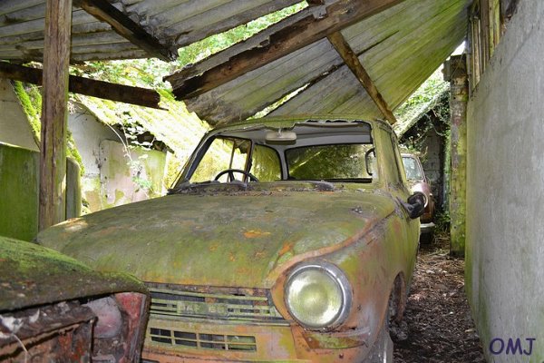 mini-DSC_0903