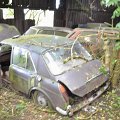 mini-DSC_0811
