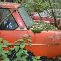 mini-DSC_0862