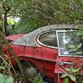 mini-DSC_0863
