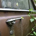 mini-DSC_0864