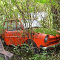 mini-DSC_0873