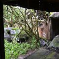 mini-DSC_0909