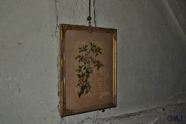mini-DSC_0756