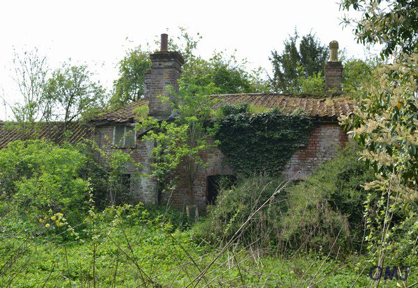 mini-DSC_9933