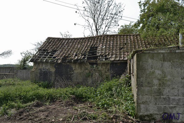mini-DSC_9935