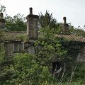 mini-DSC_9934
