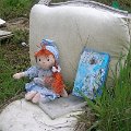 mini-DSCN9067