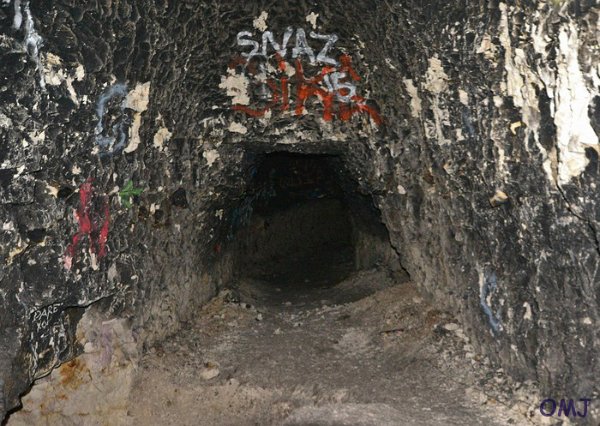 mini-DSC_0770