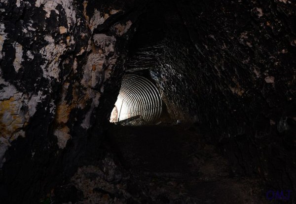 mini-DSC_0771