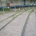 mini-DSCN9498