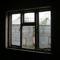 mini-DSCN9543