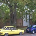 3mini-DSCN9875