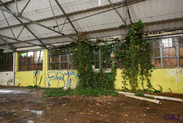 mini-DSC_2141