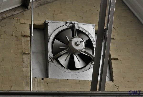 mini-DSC_2230