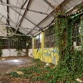 mini-DSC_2146
