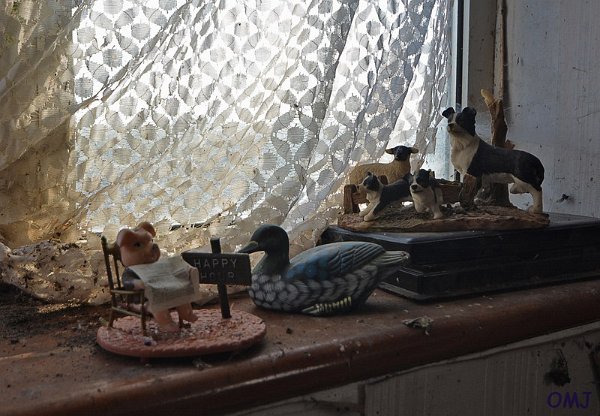 mini-DSC_1839