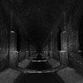 mini-DSC_6771-BW