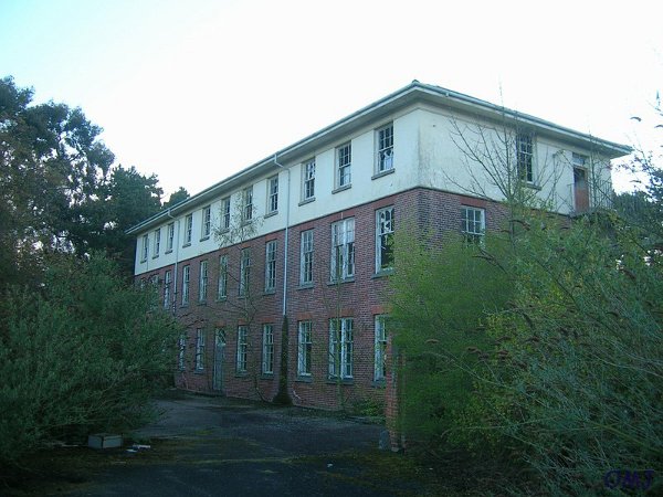 mini-13