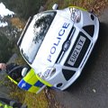 mini-police